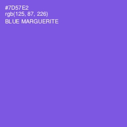 #7D57E2 - Blue Marguerite Color Image